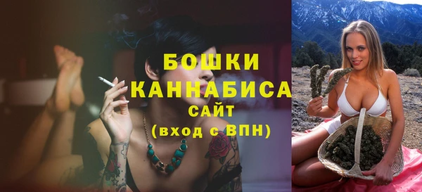 гидра Кодинск