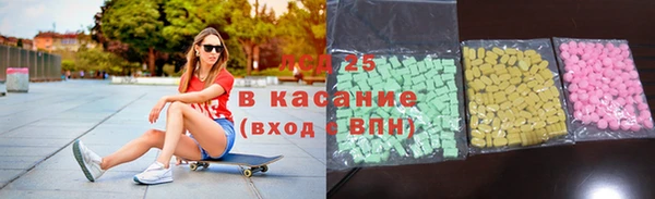 гидра Кодинск