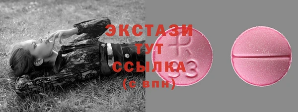 гидра Кодинск