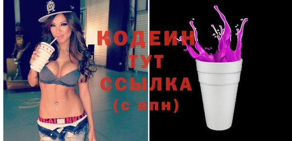 гидра Кодинск