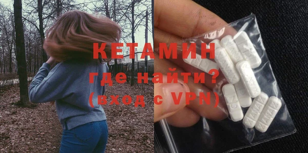 гидра Кодинск