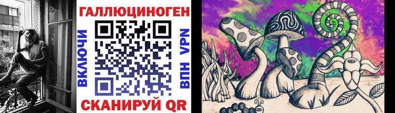 Галлюциногенные грибы Psilocybine cubensis  shop официальный сайт  Мурино 