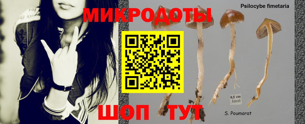 Псилоцибиновые грибы Magic Shrooms  Вход с VPN  дарнет шоп  Галлюциногенные грибы ЛСД  Мурино 